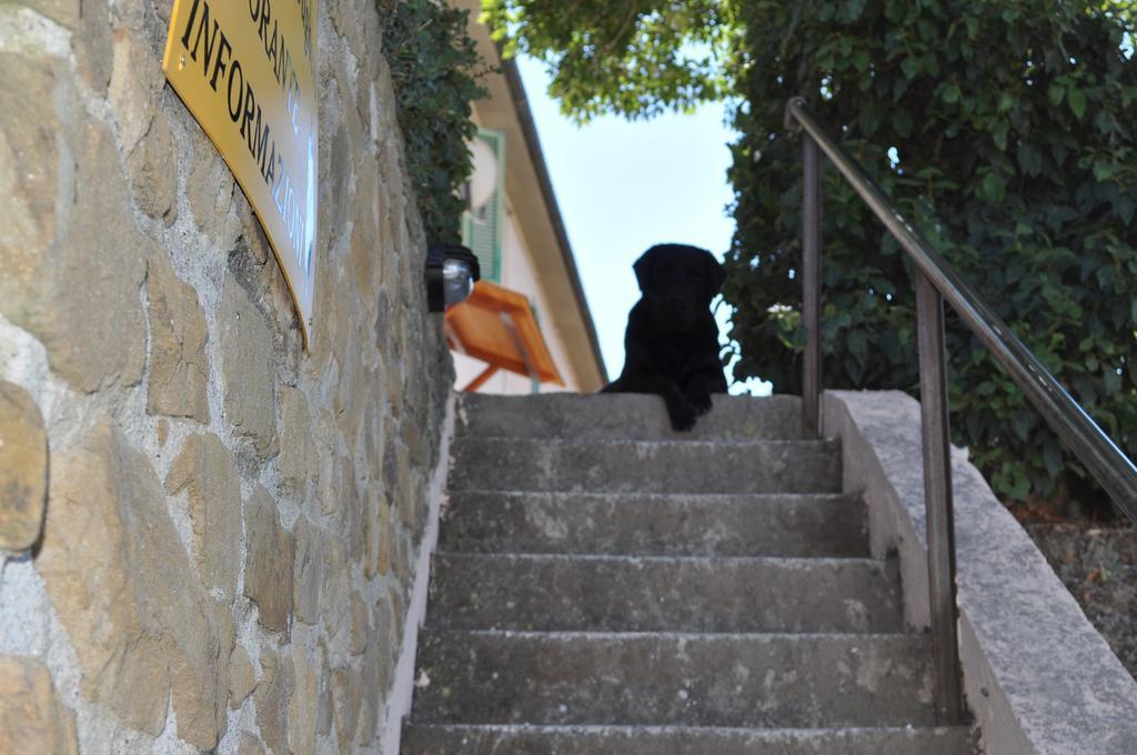 Agriturismo Il Cerrosughero Villa Scarlino Exterior photo